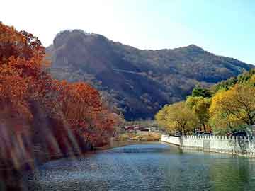 澳门天天免费精准大全，猛鬼山坟